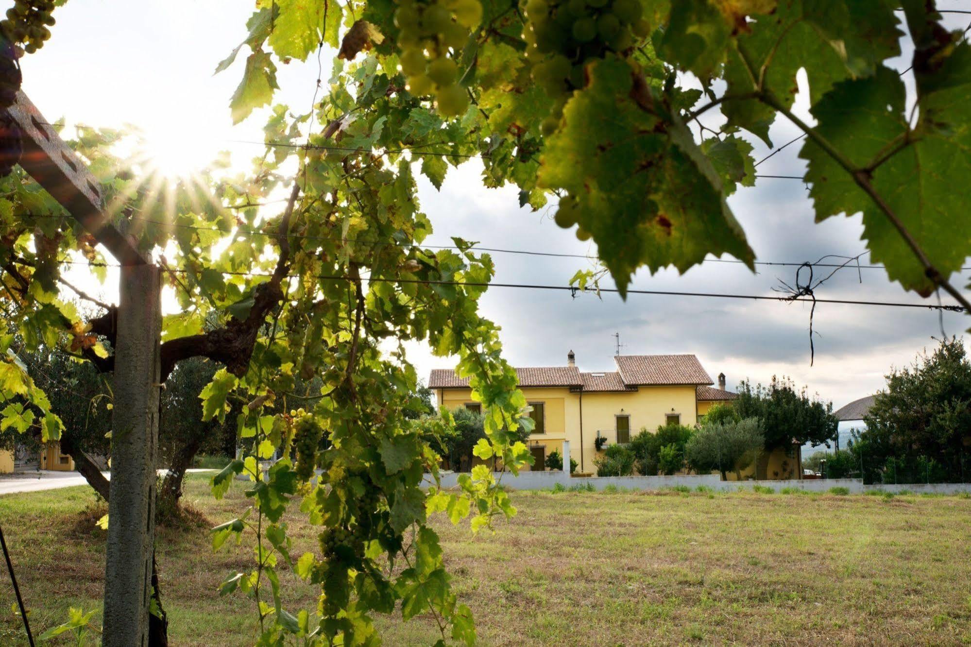 Agriturismo Il Casolare Di Nonno Mario Manoppello Exterior foto